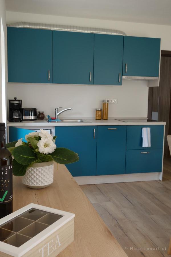 Hisa Lenart Apartment Tolmin Exterior photo
